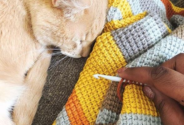 crochet and cat